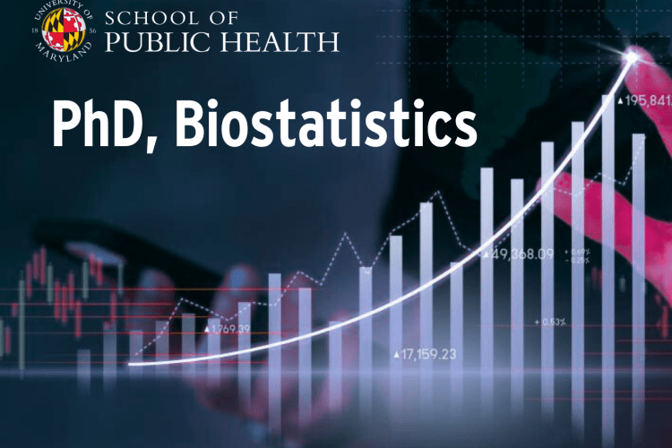 blue and purple graphic with words: PhD, Biostatistics and SPH logo