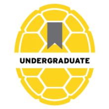 UMD yellow Opaque Shell Icon titled Undergraduate