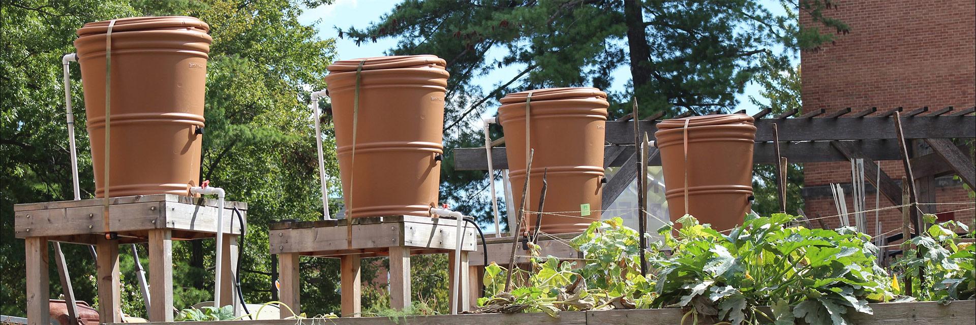 School of Public Health Garden