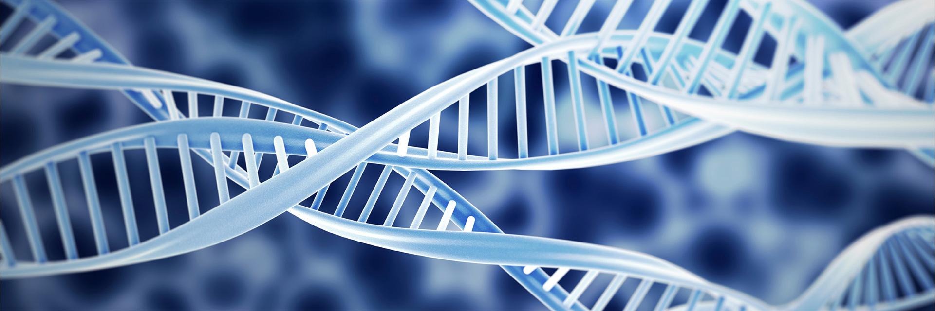 DNA graphic illustration