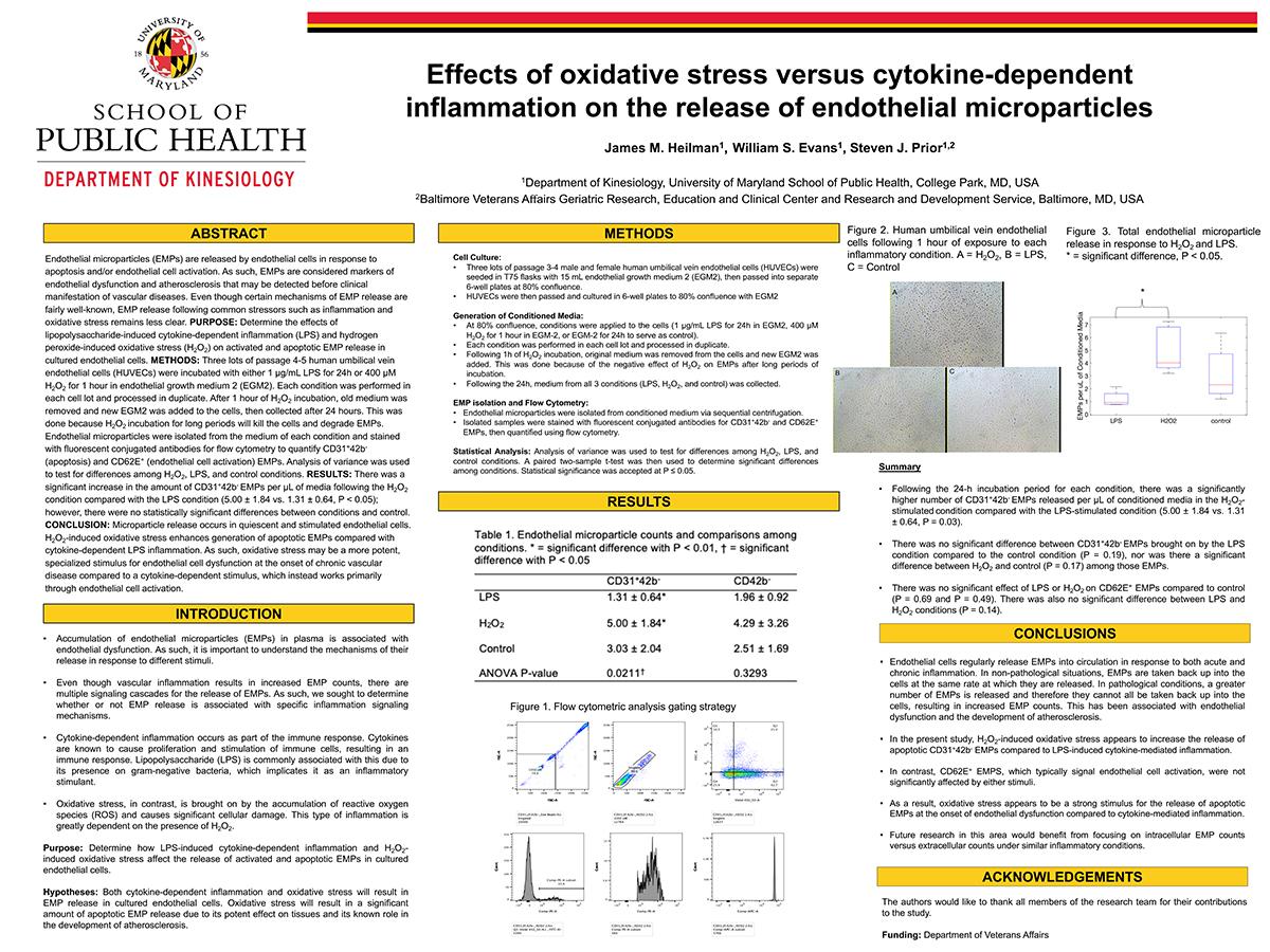 Effects of oxidative stress versus cytokine-dependent inflammation on the release of endothelial microparticles research poster